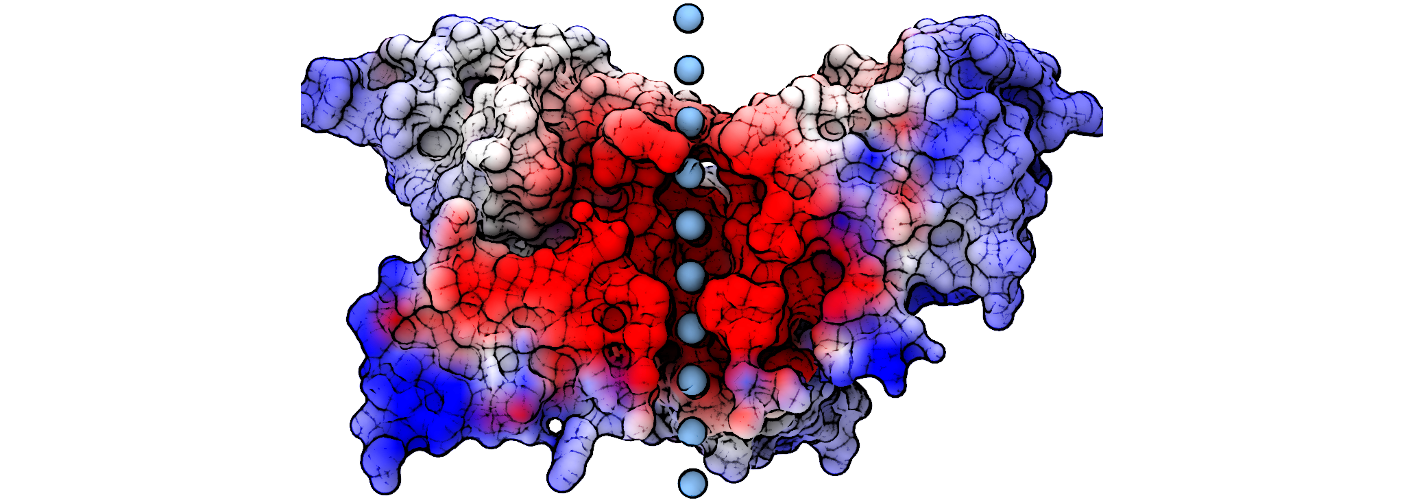 Calculating the ion solvation energy along the permeation pathway of an ion channel feature image